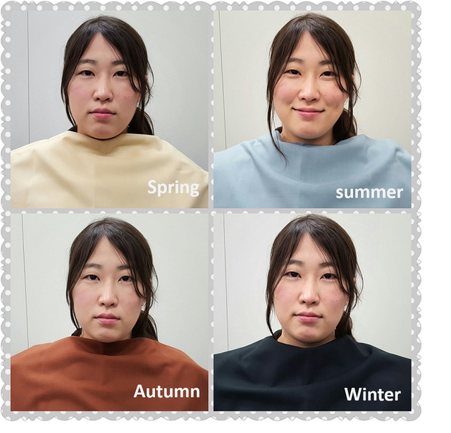 190 Color Analysis Japan Ideas Color Analysis Color Seasonal Color Analysis