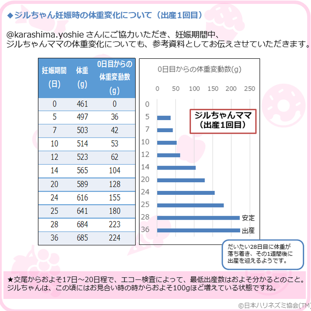 母親ハリネズミの変化について 日本ハリネズミ協会