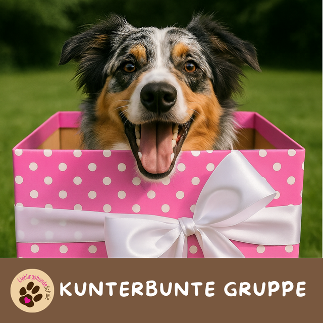 Hundeschule Gruppenkurs Muenchen Ebersberg buchen