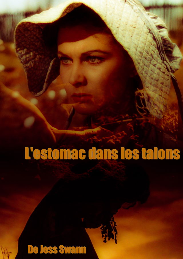 L'estomac dans les talons La Plume de Jess Swann