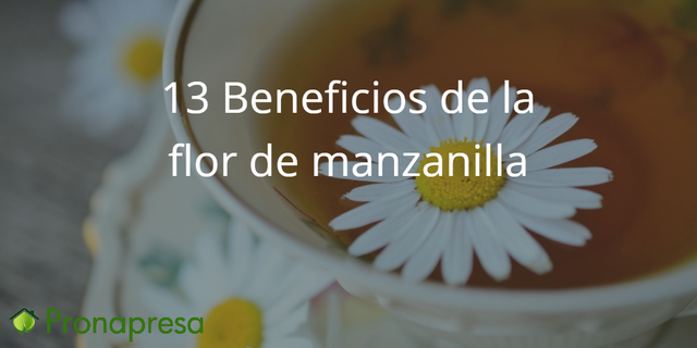 13 beneficios de la manzanilla para la salud