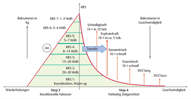 Von der Kraft zur Schnelligkeit - SART - aktiv vernetzt