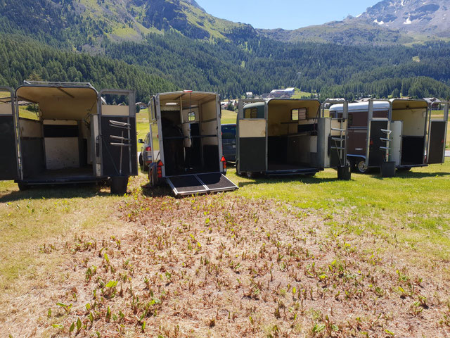 Warum ein Schrägverlader für Pferde Sinn macht