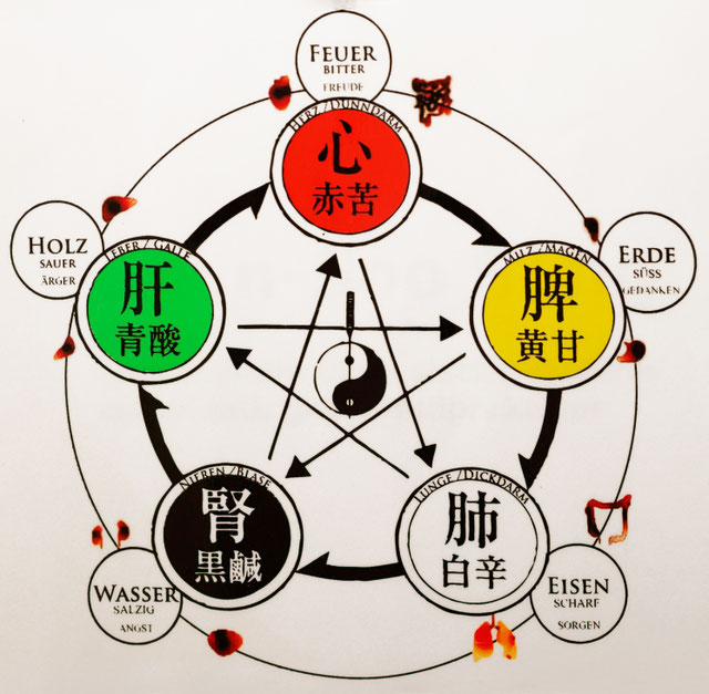 TCM Praxis für Traditionelle Chinesische Medizin und Akupunktur