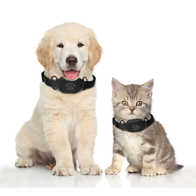 Reptrek® MINITREK GPS tracker voor kat & hond zonder abonnement