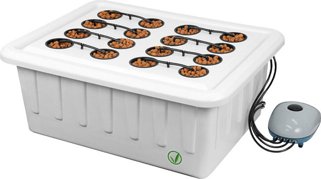 Growbox Komplettset & Hydroponik - Irierebel