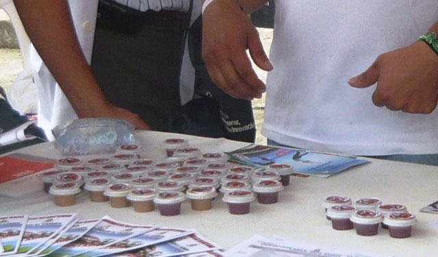 Muestra de mermeladas elaboradas por estudiantes de agroindustria en la Uleam de El Carmen. Santo Domingo de los Tsáchilas, Ecuador.