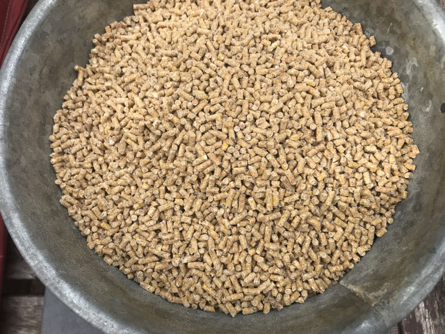 Hühnerfutter - Huhn-erleben.de zeigt das Hühnerleben!