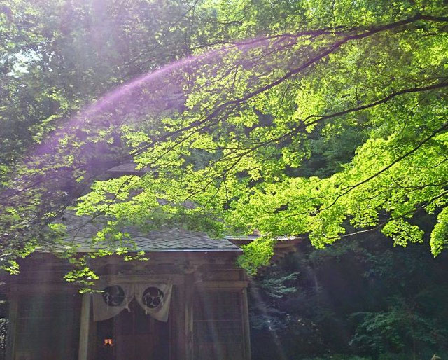 黄帝内経 11.五臓別論篇 （こぞうべつろん） 九星気学の基礎から勉強したい方に最適。初級マンツーマンで指導。プロを目指している方には易学鑑定士の免許取得まで徹底サポート。少人数・フリータイム制。