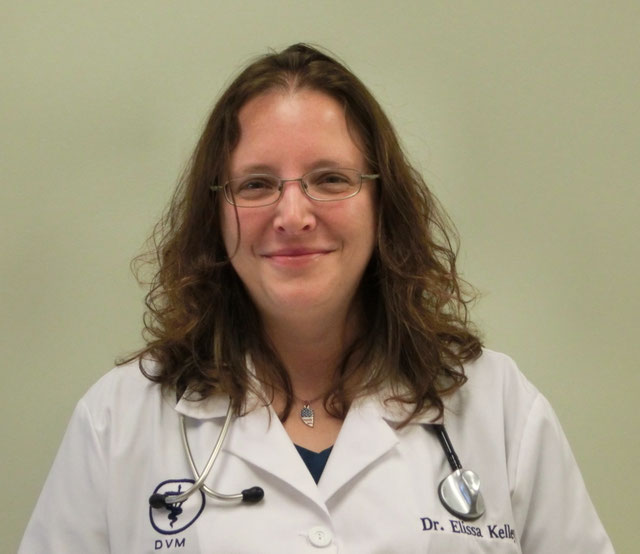 Dr Elissa Kelley, DVM - Sugar Grove Animal Hospital