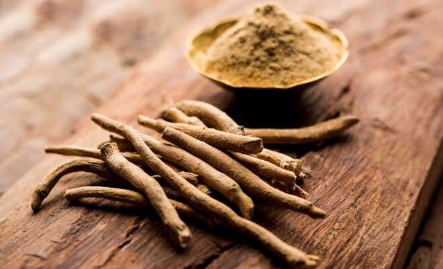 Ashwagandha: Eine ganz besondere Pflanze - Schweizer Online Lädeli für ...