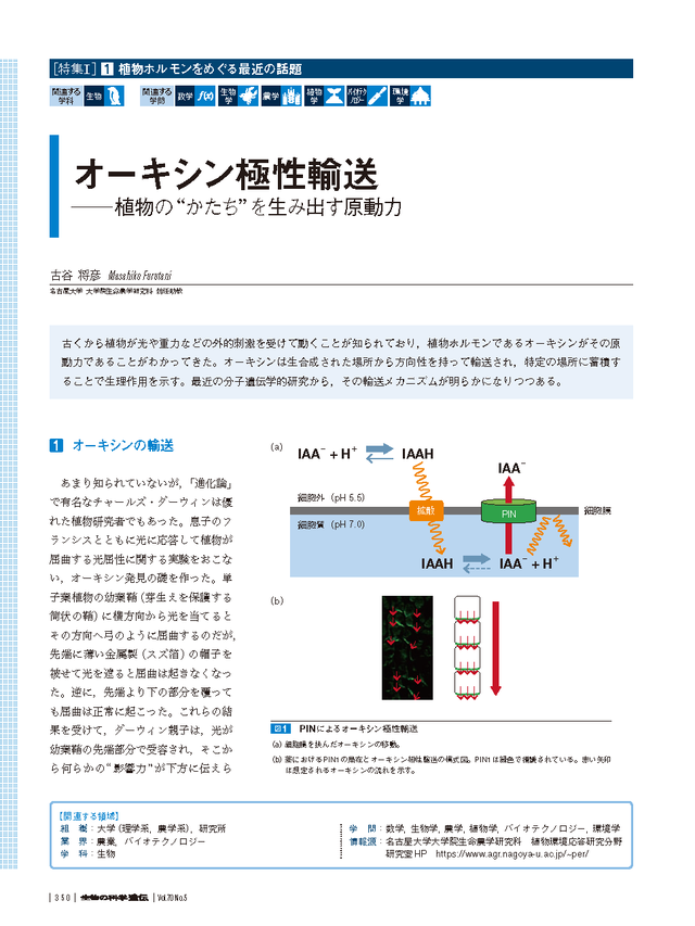『生物の科学　遺伝』Online        バックナンバー（2015年以前）2016年70-5（9月発行号）　目次