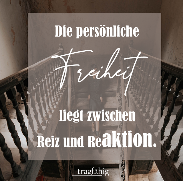 Freiheit liegt zwischen Reiz und Reaktion lebeleichterandreageiss Webseite! Freiheit liegt zwischen Reiz und Reaktion lebeleichterandreageiss Webseite!
