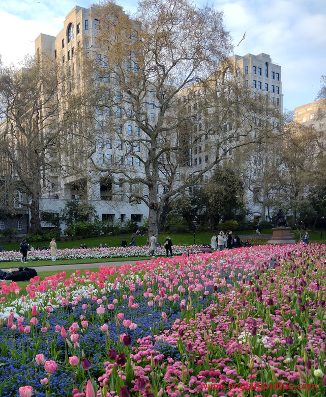 Thames und Victoria Embankment in London: Wo befindet sich das Embankment