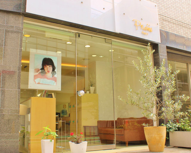 Prisme hair prismehair