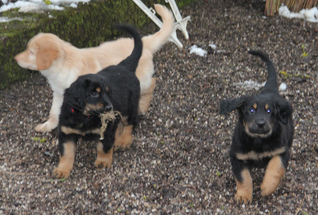 von links nach rechts: Birdy, Bjarni, Bastian