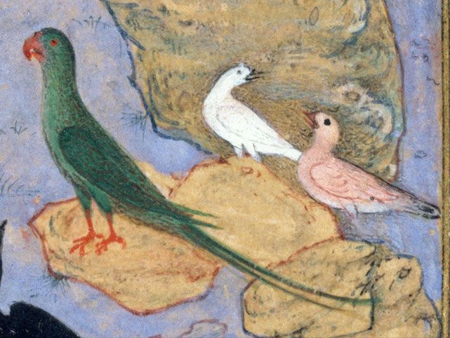 Illustrazione del Mantiq al-Tayr di Farid al-din 'Attâr