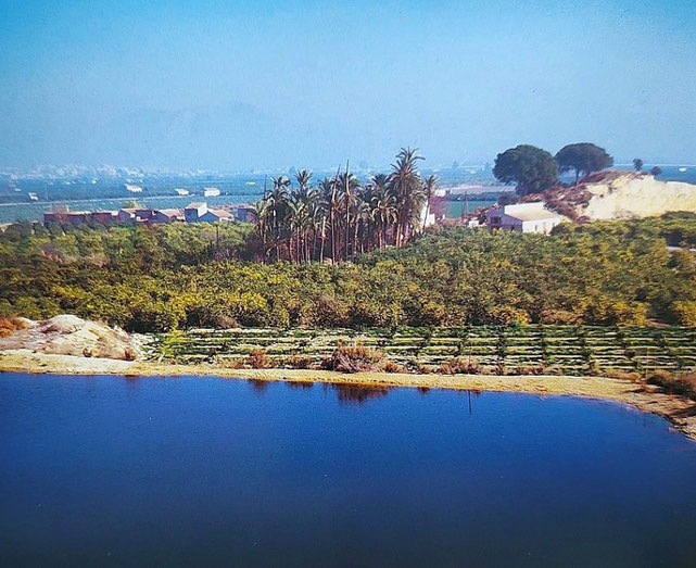 Los campos de Orihuela fueron famosos por su producción de trigo. Orihuela pertenece a la Comarca del Bajo Segura en la Comunidad Valenciana.