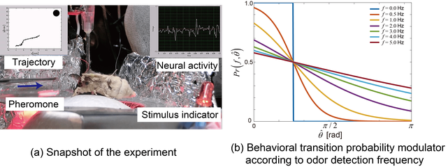 Figure: (a) Snapshot of actual simultaneous brain (LAL) –behavior measurement experiment. (b) An odor detection frequency dependent behavioral modulator implemented in a robot.