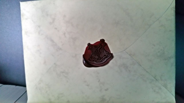 Harry Potter DIY - lisaliebtbuecher