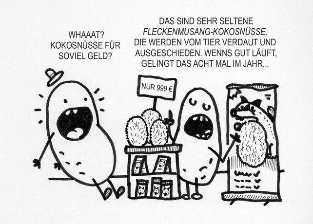 Ein schwieriger Kartoffel Cartoon. Der arme Fleckenmusang, erst kaffebohnen und jetzt das.