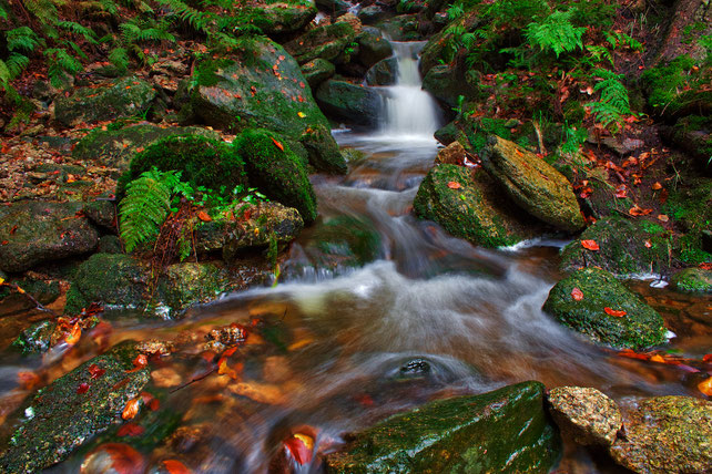 Erzgebirge, Landschaft, Wasser, Wildbach, "Andreas Hielscher Fotografie", Naturwelten