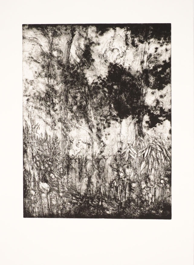 Impressionen vom Garten in einer Radierung von Katharina Lechner, Atelier tiefdruckArt