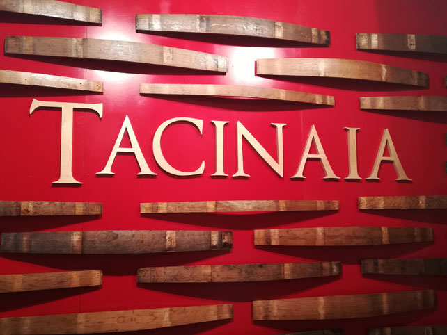 Amiata orcia doc Toscana Etesiaca itinerari di vino