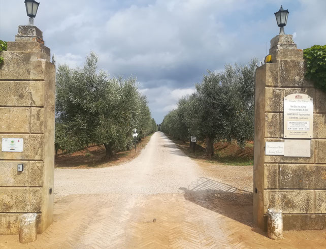 Tenuta la Chiusa Elba isola Etesiaca itinerari di vino
