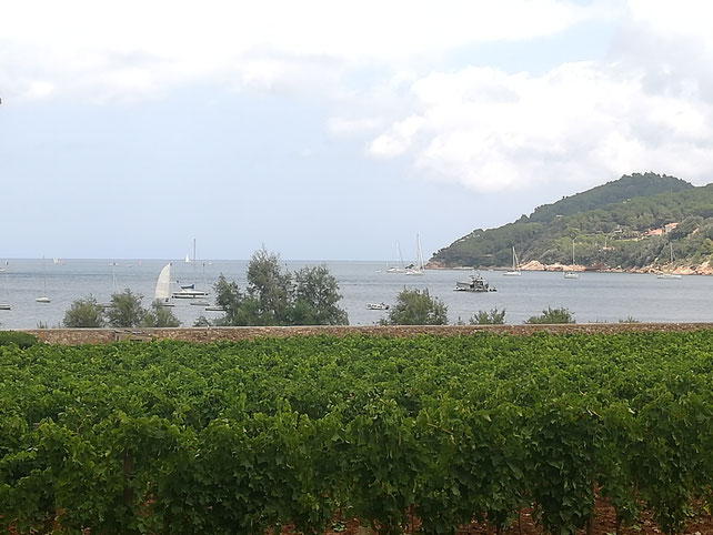Tenuta la Chiusa Elba isola Etesiaca itinerari di vino