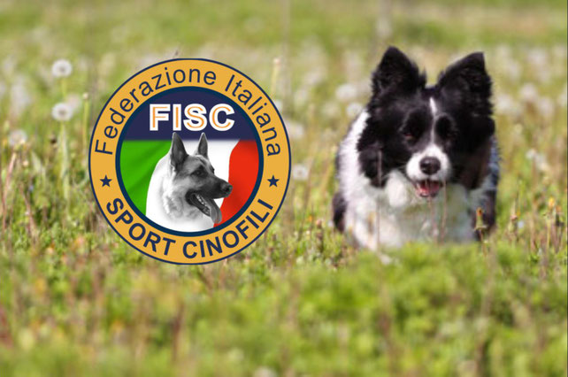 Corsi educatore cinofilo Treviglio