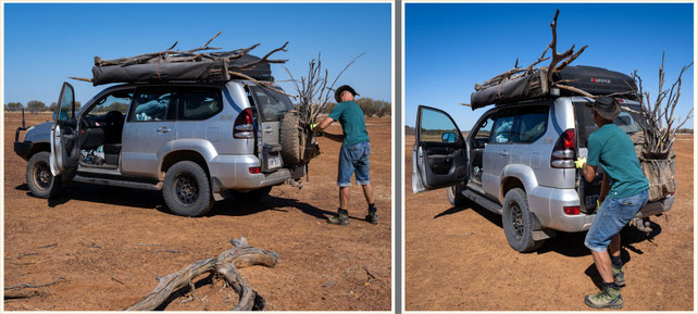 Winton Jundah Road, Opalton, Firewood, Holz für Campfire sammeln, Outback, rotes Land