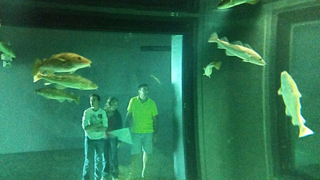 Museu Maritimo in Ílhavo, Portugal, Aveiro, Bacalhau, kabeljau