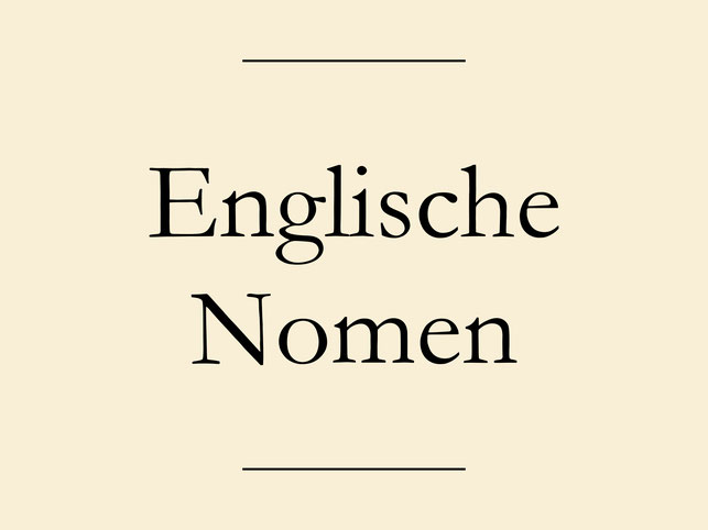 Englisch Grundwortschatz lernen, PDF Liste zum Drucken, Nomen. #englischlernen