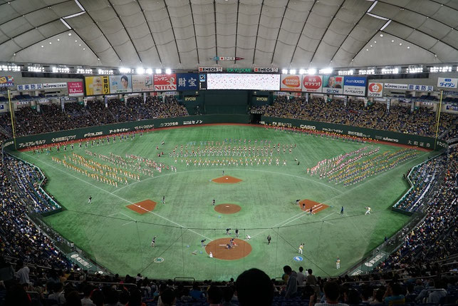 プロ野球 北海道日本ハムファイターズ VS.千葉ロッテマリーンズ戦 試合前 チア出演