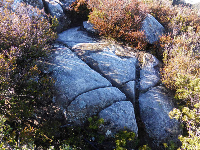 Frosty boulders on the track