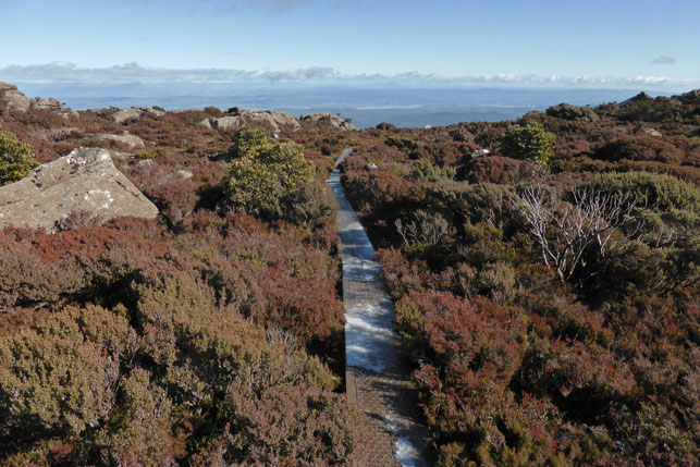 The boardwalk across the plateau