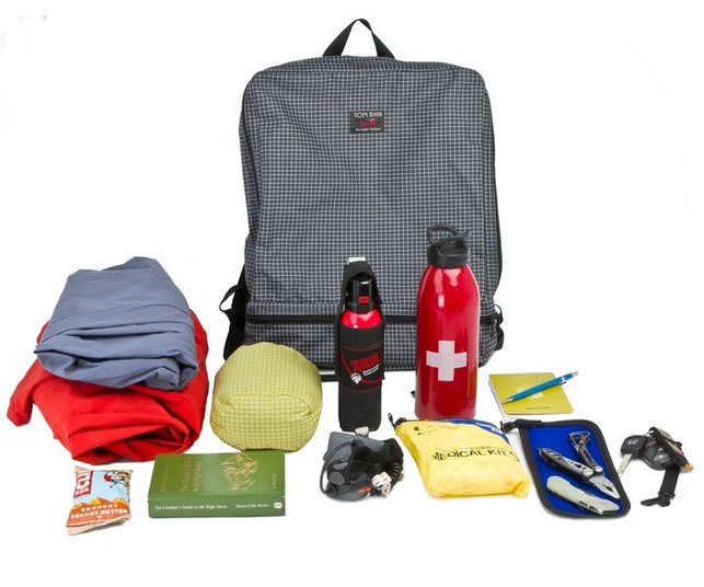Tom Bihn Packing Cube Backpack (Aeronaut)