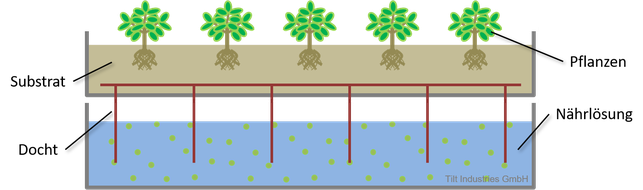 Dochtsystem, Aquaponik, Hydroponik, Kreislauf, Nachhaltigkeit, Tilt Industries, Schema, Grafik