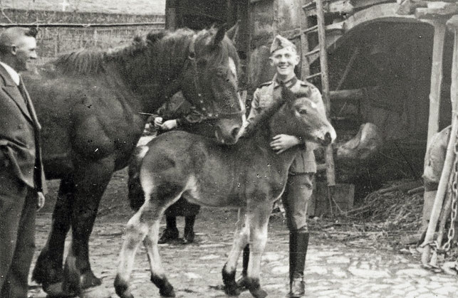 Dieser junge Soldat erfreut sich an dem Pferdenachwuchs. Welche Verwendung diesem Tier wohl bevorsteht?
