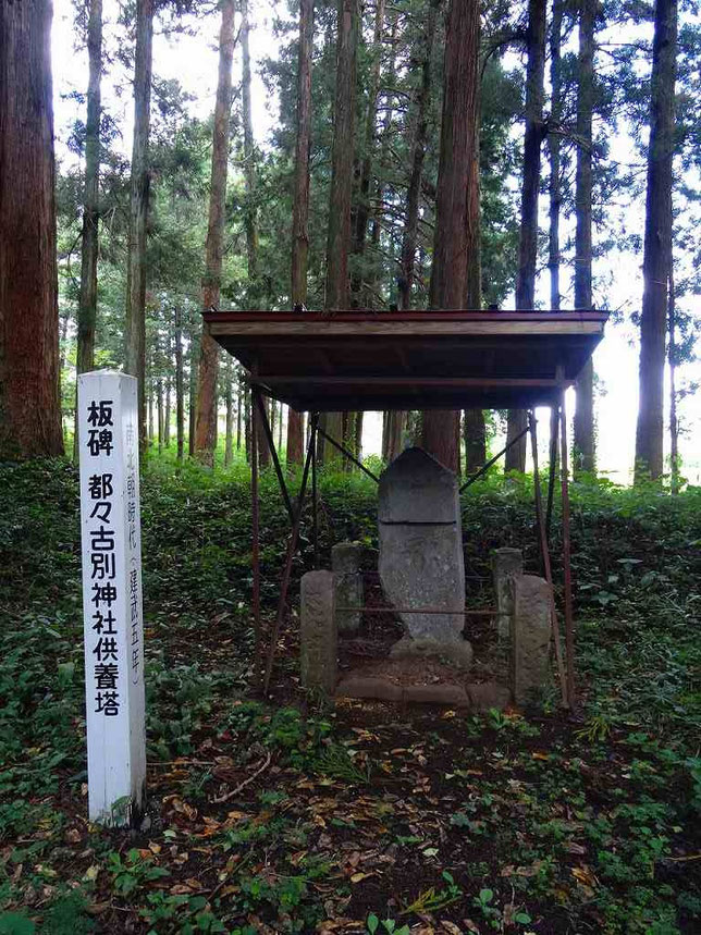 陸奥一之宮 馬場都々古別神社(ばばつつこわけじんじゃ)