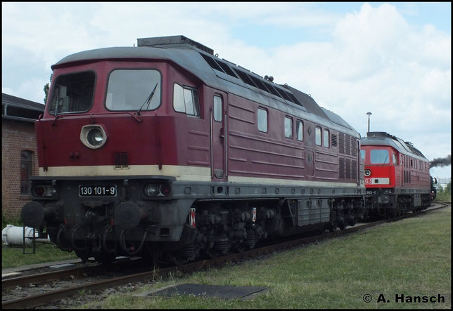 Am 2. Juni 2012 steht 130 101-9 im Bw Staßfurt