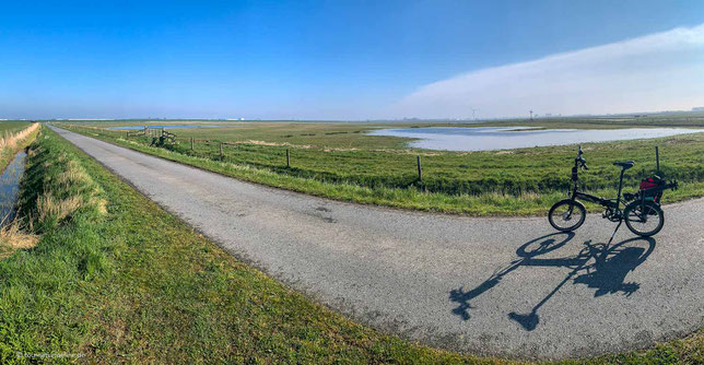 Kraniche im Polder Glies
