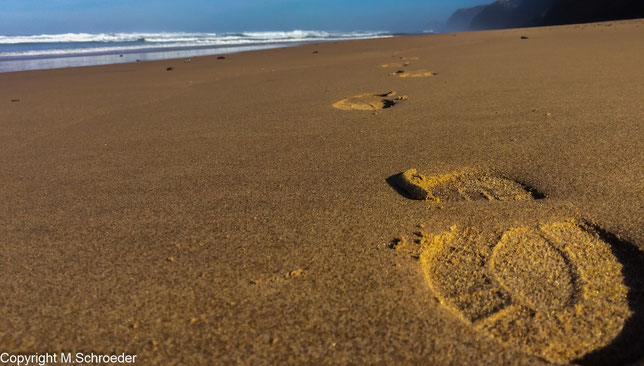 Playa de Cordoama Vila do Bispo Spuren im Sand Strand idyllisch einsam