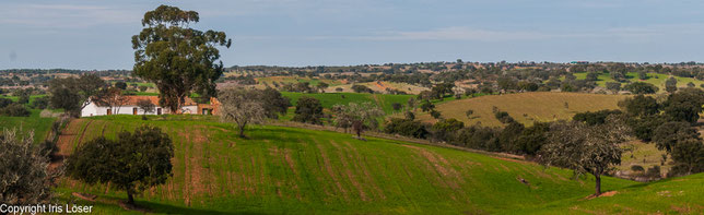 Naturpark Vale do Guadiana