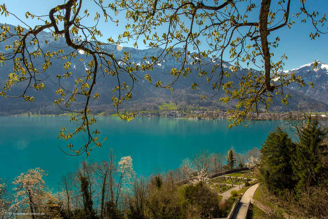 Blick auf den Brienzer See