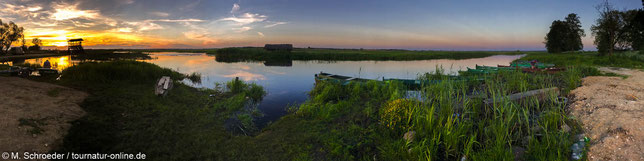 Abendstimmung im Narew Nationalpark - unser Übernachtungsplatz ist ganz links neben der Sonne!