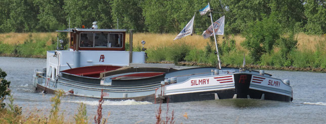 Scheepstype Kempenaar