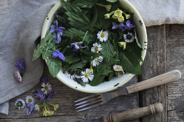 Wildkräutersalat