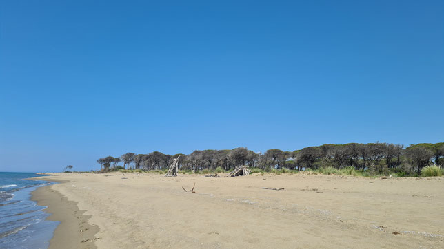 Marina di Alberese